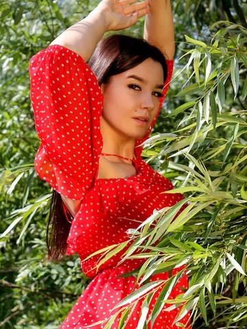 PiperFantastic cam model